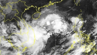 Áp thấp nhiệt đới mạnh lên thành bão