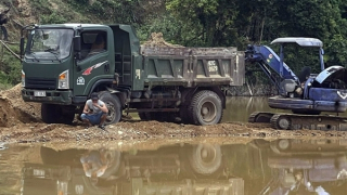 Xử lý "cát tặc", " lâm tặc" trên các tuyến đường thuỷ Quảng Nam