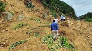 Sạt lở chia cắt nhiều tuyến đường, 170 hộ dân tại Quảng Nam bị cô lập