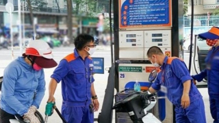 Thanh tra quản lý nhà nước về xăng dầu tại 3 bộ, 17 doanh nghiệp và các địa phương