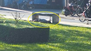 Đi thể dục sáng, tá hỏa phát hiện xác chết dưới ghế đá