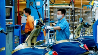 Tăng trưởng xanh là yếu tố then chốt trong việc thu hút FDI vào Việt Nam