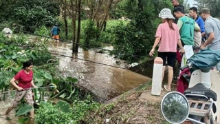 Mưa lũ cuốn trôi 32 tấn cá lóc của người dân