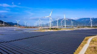 EVN chưa xem xét việc để lãng phí nguồn điện sạch trị giá 2 tỷ đồng mỗi ngày