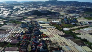Vì sao Đà Lạt phải dỡ bỏ hết nhà kính, nhà lưới?