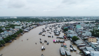 Giải pháp thích ứng biến đổi khí hậu vùng châu thổ Cửu Long