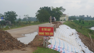Công bố tình huống khẩn cấp sự cố sụt lún mái đê sông Mã