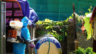 Quảng Bình ghi nhận bệnh nhân đầu tiên tử vong vì sốt xuất huyết