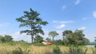 Cựu Bí thư Tỉnh ủy Đắk Lắk nói gì khi tháo dỡ trang trại của mình trong khu bảo tồn?