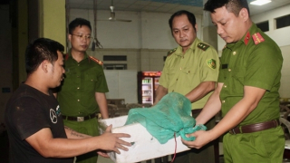 Bàn giao những “hành khách” lạ cho Vườn Quốc gia Pù Mát