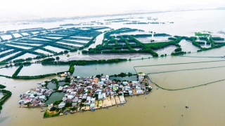 Say đắm "ốc đảo xanh" Cồn Chim