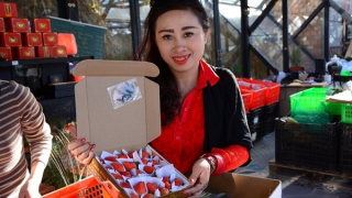 Siết chặt nguồn gốc nông sản VietGAP để tránh gian lận