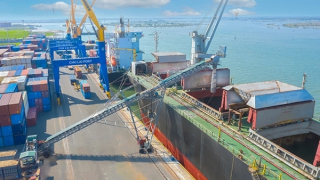 Cảng Chu Lai phát triển mạnh dịch vụ xuất nhập khẩu hàng rời