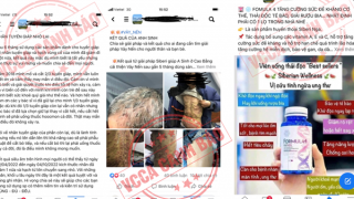 Tiếp tục tham gia bán hàng đa cấp của Siberian Health Quốc tế, có thể bị xử lý hình sự