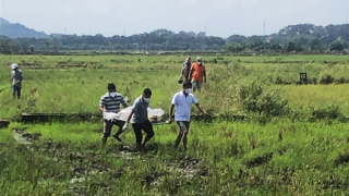 Phát hiện thi thể người đàn ông giữa cánh đồng