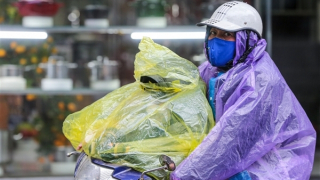 Giá rét bao trùm miền Bắc, nền nhiệt xuống thấp, miền Trung nhiều nơi có mưa