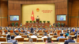 100% tiền thu từ đấu giá biển số sẽ nộp ngân sách Nhà nước