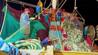 Giúp ngư dân vượt khó, yên tâm bám biển