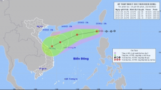 Chủ động ứng phó với áp thấp nhiệt đới