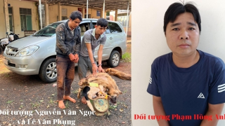 Đối tượng thứ 3 trong nhóm dùng ô tô đi trộm chó đã ra đầu thú