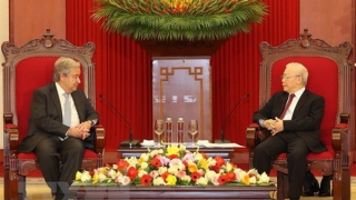 Tăng cường hơn nữa mối quan hệ tốt đẹp giữa Liên hợp quốc với Việt Nam