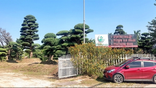 Cận cảnh dự án “Công viên cây xanh” có nhà xưởng bị cháy làm một người tử vong