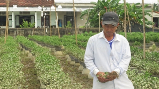 Nhiều làng hoa Tết xứ Huế trắng tay sau lũ