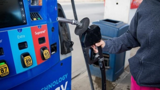 Thu hồi giấy phép phân phối xăng dầu của Công ty TNHH Trường Phú