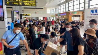 Khó tìm vé máy bay giá rẻ dịp Tết