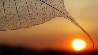 Dập tắt Hỏa Diệm Sơn