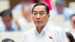 Chờ Chủ tịch xã phân công xử lý vụ việc bạo lực gia đình là chậm