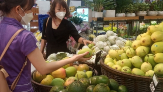 Thích ứng các rào cản thương mại để mở rộng xuất khẩu