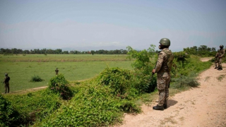 Cảnh nô lệ trong đồn điền ở Dominica