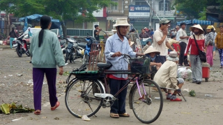 Vòng xe cuộc đời