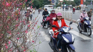 Trình Thủ tướng hai phương án  nghỉ Tết Nguyên đán 2023