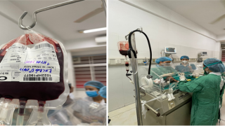 Bất đồng nhóm máu với mẹ, bé sơ sinh phải thay máu toàn phần