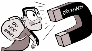 Lợi dụng đi học để ở lại nước ngoài trái pháp luật sẽ bị phạt tiền