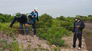 Khởi tố Giám đốc lạm quyền chiếm đoạt ngân sách