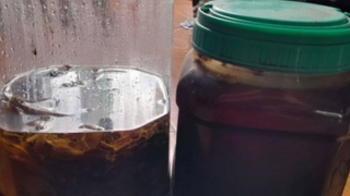 Công an điều tra vụ uống rượu thuốc, 2 người thương vong