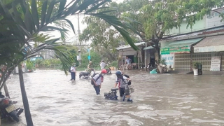 Thành phố… mùa triều dâng