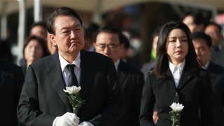 Những bông hoa trắng rủ xuống nền đất lạnh