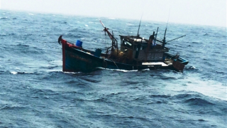 Cứu 2 ngư dân sau khi tàu cá bị sóng đánh chìm