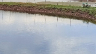 Thông tin thêm về vụ ẩu đả ở Sóc Trăng