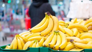 Trung Quốc chính thức nhập khẩu chuối từ Việt Nam