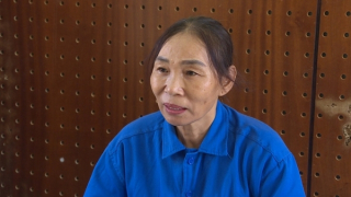 Thuê người làm hàng chục giấy chứng nhận quyền sử dụng đất giả để trục lợi