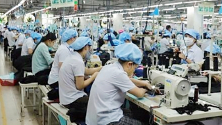 Doanh nghiệp xuất khẩu gặp khó những tháng cuối năm