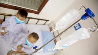 Phòng, chống bệnh tan máu bẩm sinh ở vùng đồng bào dân tộc thiểu số, miền núi