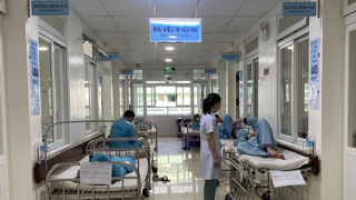 Đà Nẵng khẩn trương xử lý các ổ dịch