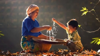 Thiên chức trong thơ nữ Việt Nam hiện đại