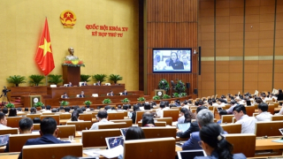 Tập trung bảo vệ nhóm người tiêu dùng yếu thế, dễ bị tổn thương